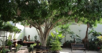 Thumbnail image Colinas De Agua Caliente in Tijuana 8