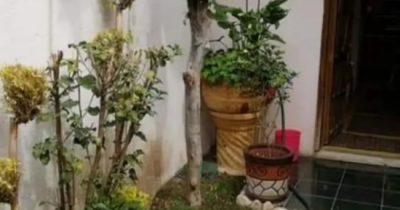 Imagen en miniatura Bosques Del Pilar en Puebla 2